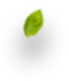 h3_leaf-4
