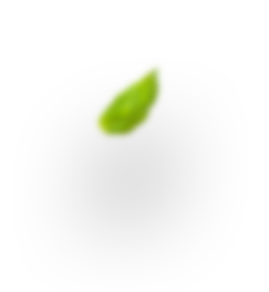 h4_leaf-2